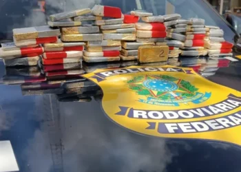 O veículo foi parado por volta das 15h20 em uma rodovia que corta o município de Altamira  • Reprodução/Redes Sociais