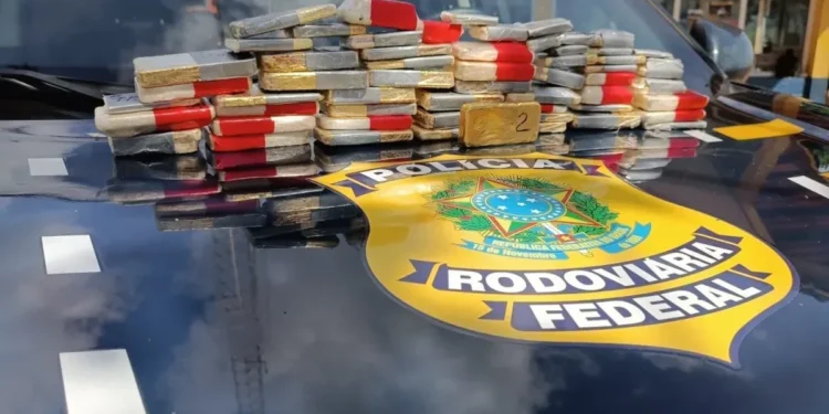 O veículo foi parado por volta das 15h20 em uma rodovia que corta o município de Altamira  • Reprodução/Redes Sociais