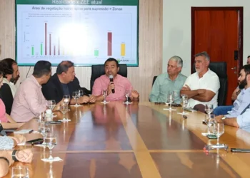 Setor produtivo pede e Governo retira PL do Zoneamento Ecológico-Econômico da Aleto
