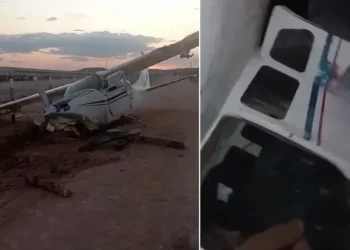 Avião cai com 424 kg de cocaína no Pará  • Reprodução