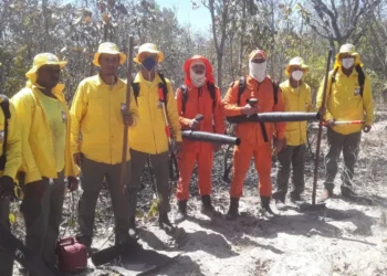 Bombeiros Militares e brigadistas trabalham lado a lado no enfrentamento às chamas que atingem grandes áreas rurais em Paranã. Créditos: Defesa Civil de Paranã