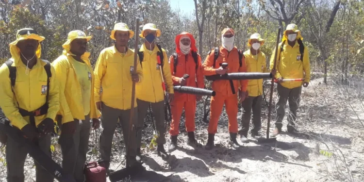 Bombeiros Militares e brigadistas atuam em incêndios de grande proporção em Paranã