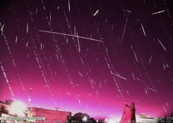 1 de 5

• Créditos: @jocimarjustino