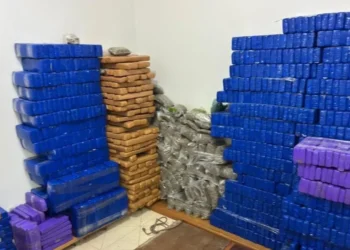 Ação da Polícia Civil localizou drogas em Diadema e no Jardim Miriam, na capital  • SSP