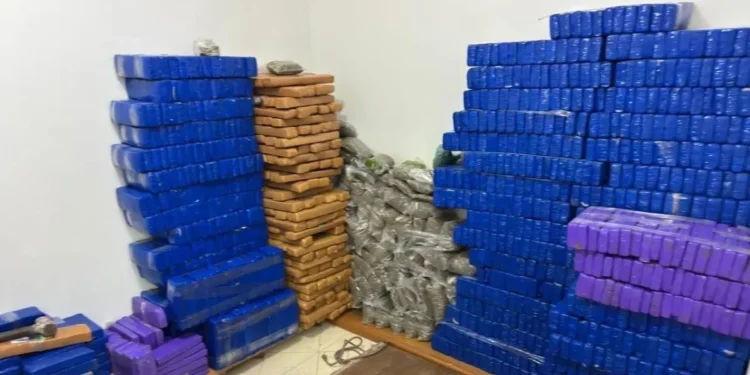 Ação da Polícia Civil localizou drogas em Diadema e no Jardim Miriam, na capital  • SSP