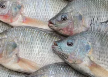 Com taxação de Trump, EUA tem outros mercados mais baratos do que o Brasil — Foto: Getty Images/Canva