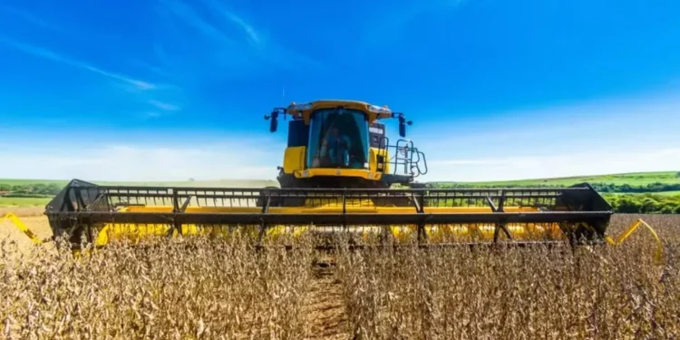 EUA acusam Brasil de práticas ‘ilegais’ na produção agropecuária e florestal