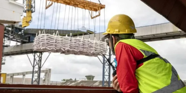 Os embarques de navio que partem do Brasil rumo aos Estados Unidos gastam entre 20 e 30 dias para chegar ao destino — Foto: Claudio Neves/Portos do Paraná