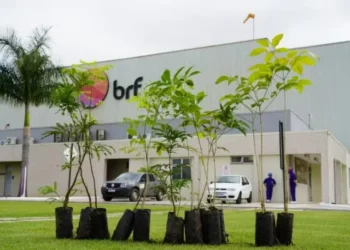 Unidade da BRF em Lucas do Rio Verde (MT). Fusão com a MArfrig foi aprovada pelos acionistas — Foto: Prefeitura de Lucas do Rio Verde/divulgação