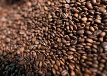 Embarques de cargas de café que foram negociados antes do anúncio de tarifas extras conseguirão entrar nos EUA sem a cobrança da nova alíquota — Foto: Wenderson Araújo/CNA