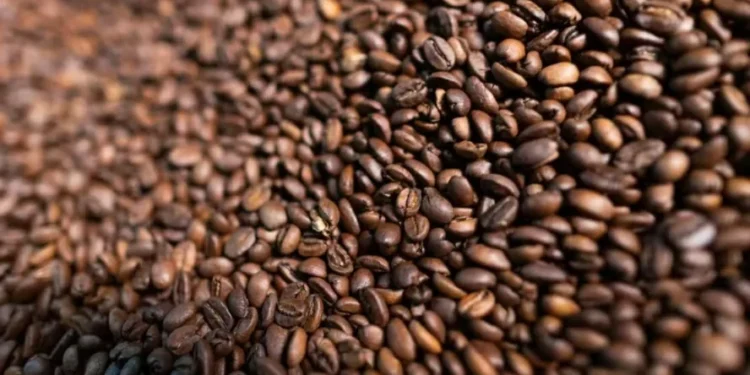 Embarques de cargas de café que foram negociados antes do anúncio de tarifas extras conseguirão entrar nos EUA sem a cobrança da nova alíquota — Foto: Wenderson Araújo/CNA