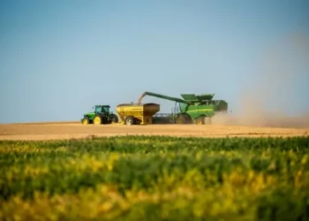 As previsões de tempo seco no norte das Grandes Planícies favorecem o avanço da colheita do trigo de primavera nos EUA — Foto: Kirsten Strough/USDA