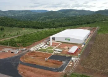 Banco destacou que a Boa Safra superou sua capacidade instalada, considerando o crescimento na produção — Foto: Boa Safra/Divulgação