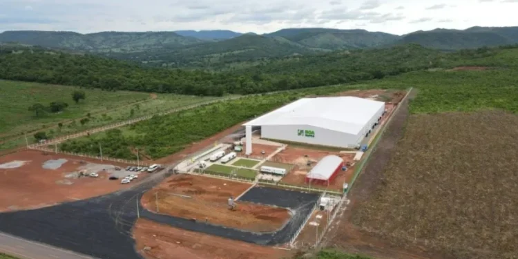 Apesar do recorde de produção, Boa Safra tem resultados abaixo do esperado, dizem bancos