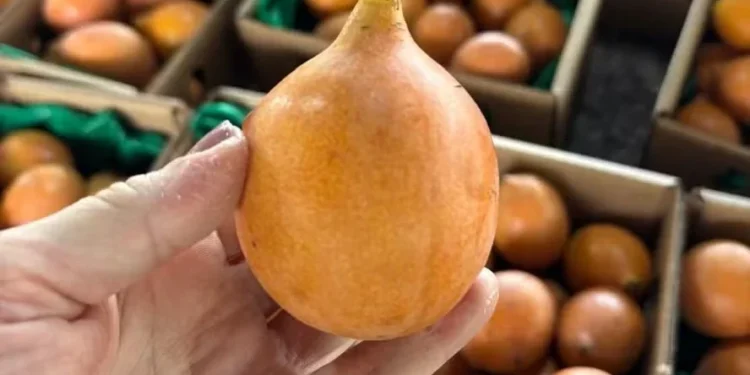 Achachairu: conheça a fruta exótica que o Brasil já exporta