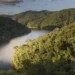 Brasil perde vegetação natural equivalente ao tamanho da Bolívia em 40 anos