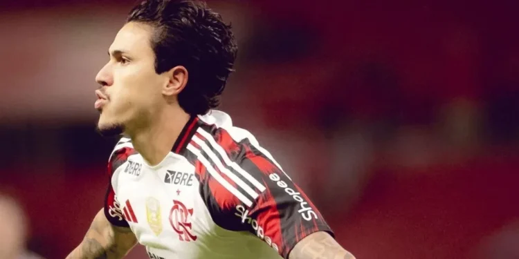 Pedro comemora gol pelo Flamengo • Adriano Fontes/Flamengo