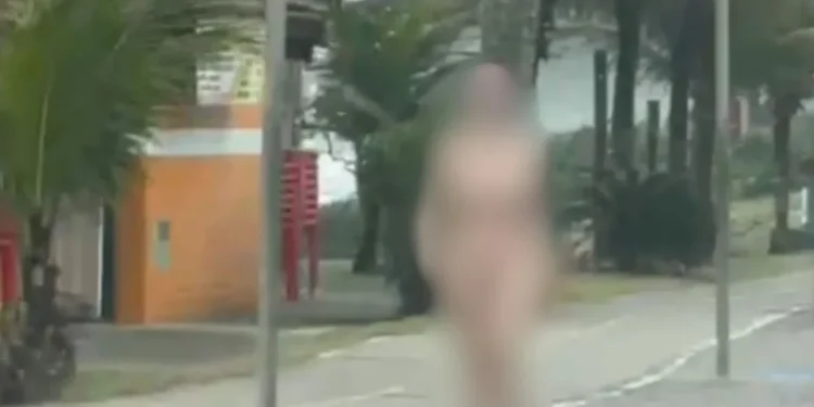 Vídeo: Mulher é presa nua em praia de SP após confessar ter matado o pai • Reprodução/Maissantos