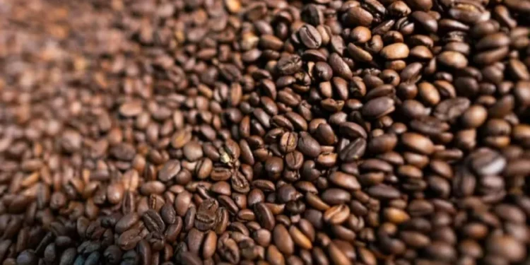 Tarifas de 50% sobre as importações do grão brasileiro para os EUA causaram uma quebra no fluxo de exportações do Brasil — Foto: Wenderson Araújo/CNA