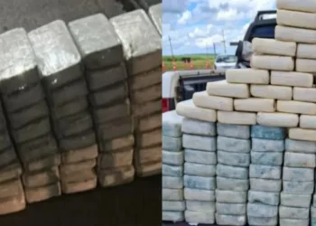 As investigações, iniciadas em 2024, resultaram até o momento em 13 flagrantes, 18 prisões e na apreensão de mais de 900 kg de cocaína e 1.150 kg de maconha • Polícia Federal