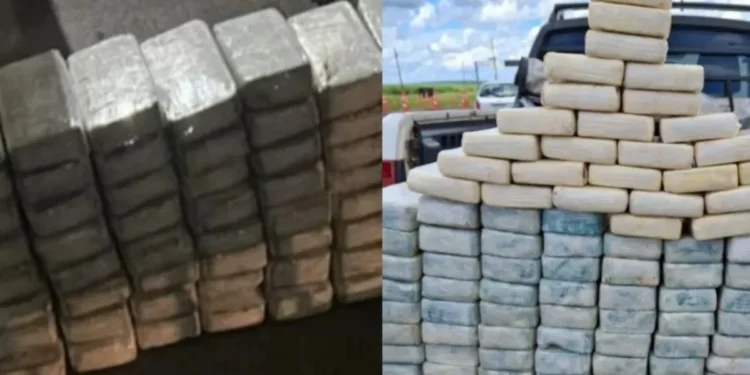 As investigações, iniciadas em 2024, resultaram até o momento em 13 flagrantes, 18 prisões e na apreensão de mais de 900 kg de cocaína e 1.150 kg de maconha • Polícia Federal