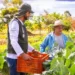 Programa visa a aumentar o valor de venda de produtos da agricultura familiar — Foto: Wenderson Araújo/CNA