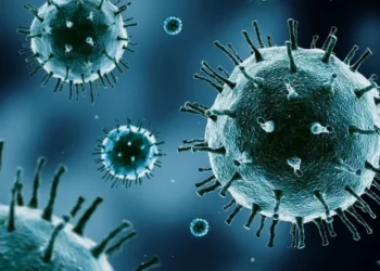 Pesquisadores "esconderam" vírus dentro de bactérias para enganar o sistema imunológico e ajudar na destruição de células cancerígenas • Frender/Getty Images