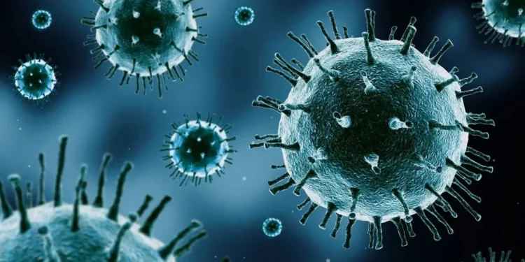 Pesquisadores "esconderam" vírus dentro de bactérias para enganar o sistema imunológico e ajudar na destruição de células cancerígenas • Frender/Getty Images