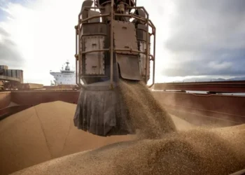 A China importou 10 milhões de toneladas de soja do Brasil em julho, 13,9% mais que no mesmo mês do ano anterior — Foto: Claudio Neves/Portos do Paraná