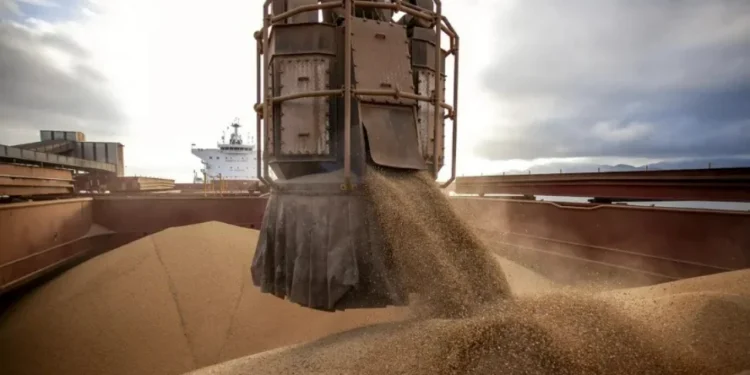 A China importou 10 milhões de toneladas de soja do Brasil em julho, 13,9% mais que no mesmo mês do ano anterior — Foto: Claudio Neves/Portos do Paraná