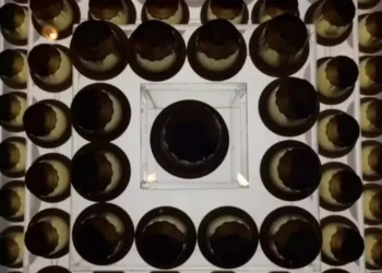 L'Or é uma das marcas da JDE — Foto: Vinicius Galera/Ed. Globo