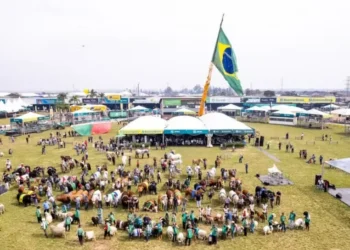 Expointer é uma das maiores feiras agropecuárias da América Latina — Foto: Gustavo Mansur/SecomRS