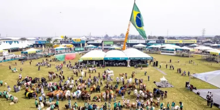 Expointer 2025: veja datas, principais atrações e como adquirir ingressos