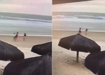 A Polícia Civil da Bahia segue investigando o assassinato de três mulheres em uma área de vegetação próxima à Praia dos Milionários, em Ilhéus • Reprodução