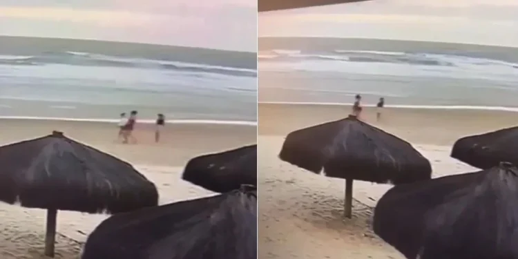 Assassino de professoras e jovem em Ilhéus preso: o que a polícia descobriu