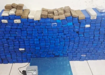 Tijolos de maconha apreendidos pela PM no interior de SP  • Divulgação/PMESP