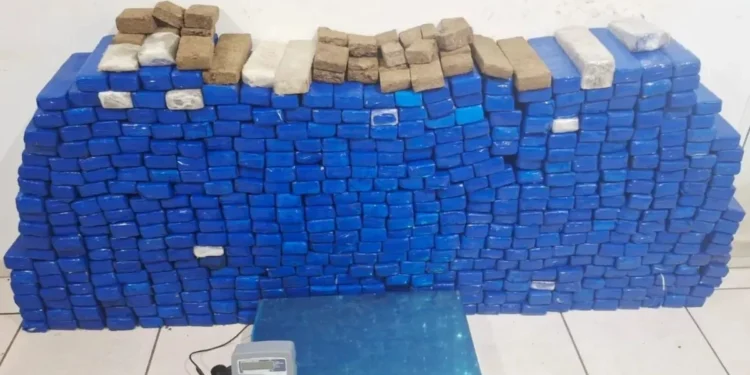 PM realiza operação contra o crime organizado e tráfico de drogas em SP