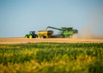 Trigo apresenta a maior desvalorização, com o progresso acelerado da colheita nos EUA — Foto: Kirsten Strough/USDA