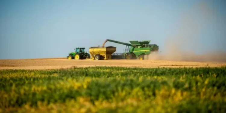 Trigo apresenta a maior desvalorização, com o progresso acelerado da colheita nos EUA — Foto: Kirsten Strough/USDA