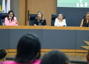 Oficina aconteceu na quarta-feira, 27, com parceria do Comitê Intersetorial de elaboração do Plano.