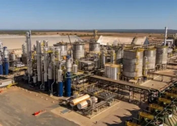 Unidade da Inpasa em Balsas (MA). Em joint venture com a Amaggi, empresa deve construir mais cinco usinas no Brasil — Foto: Divulgação