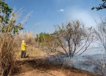Bombeiros trabalharam no rescaldo e monitoramento da área para evitar que o fogo reacendesse. - Foto: Divulgação/CBMTO