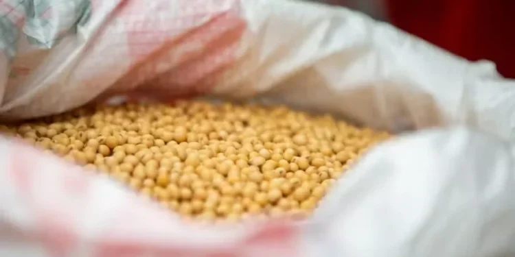 Presidente do Conselho do Corinthians dispara: “Queremos ser o Flamengo”