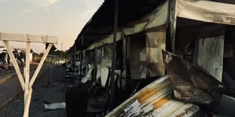 Brasileiro pode ser campeão no automobilismo neste final de semana; entenda