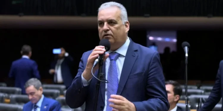 Flores para cultivar em agosto: veja o que plantar neste mês