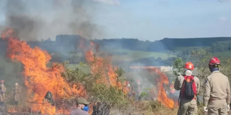 Fogo compromete a produção agrícola, degrada o solo, reduz a biodiversidade e prejudica a qualidade do ar — Foto: IAT-PR/Divulgação