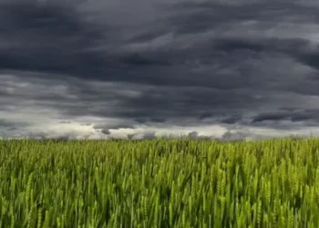 Em algumas áreas de Santa Catarina e do litoral do Paraná, os volumes de chuvas podem ser elevados — Foto: Pixabay