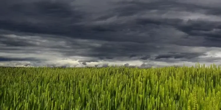 Em algumas áreas de Santa Catarina e do litoral do Paraná, os volumes de chuvas podem ser elevados — Foto: Pixabay