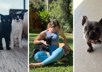 Paolla Oliveira compartilhou registros ao lado de seus cães e gatos • Instagram/Paolla Oliveira
