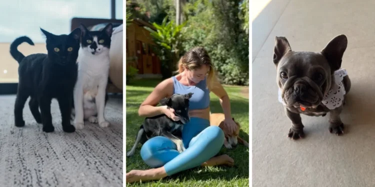 Paolla Oliveira compartilhou registros ao lado de seus cães e gatos • Instagram/Paolla Oliveira